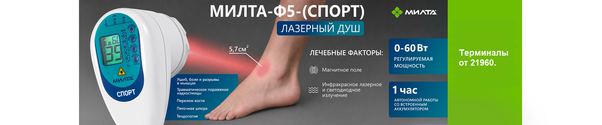 Спорт