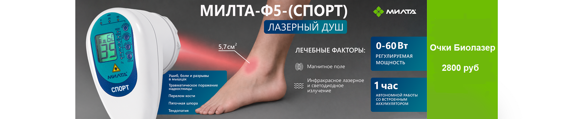 Спорт