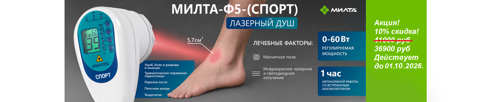 Спорт