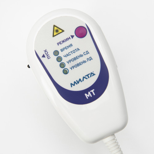 Матричный терминал (МТ)